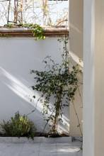 Thumbnail von Apartment For Sale in Malaga centre, Málaga