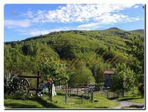 Thumbnail von Immogold Villa mit riesigem Grundstück am Wasser