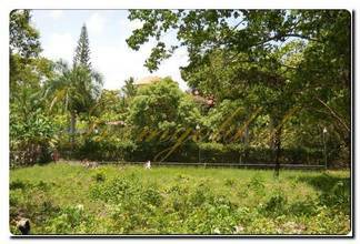 Thumbnail von Immogold tolle, beispielhafte, aparte Grundstücke im Norden/NordOst der Insel