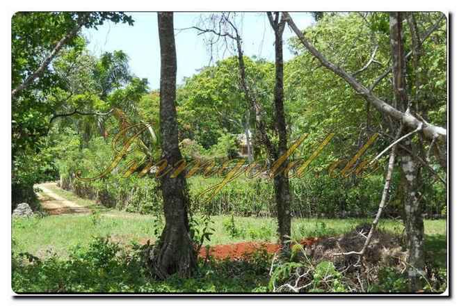 Immogold tolle, beispielhafte, aparte Grundstücke im Norden/NordOst der Insel