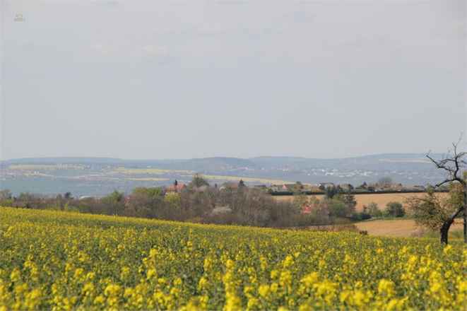 Sie wollen Ihre Ruhe am Stadtrand von Dresden haben?
