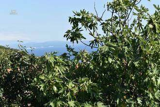 Thumbnail von Haus mit Swimmingpool und schönem Meerblick