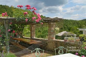 Thumbnail von Märchenhaftes Rustico im Chianti Gebiet mit Infinity-Pool