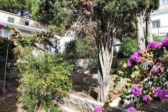 Thumbnail von Haus mit drei Wohnungen in Panorama-Lage mit schönem Meerblick