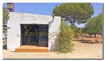 Thumbnail von Immogold Finca mit großem Grundstück, Pool und schönem Garten