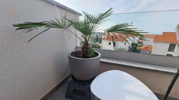Thumbnail von Appartement mit Meerblick