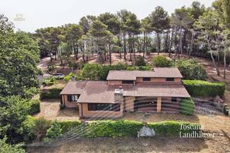 Thumbnail von Toskanische Villa mit Meerblick