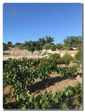 Thumbnail von Luxuriöses Baugrundstück mit Meerblick und eigenem Brunnen