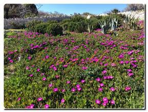 Thumbnail von Luxuriöses Baugrundstück mit Meerblick und eigenem Brunnen