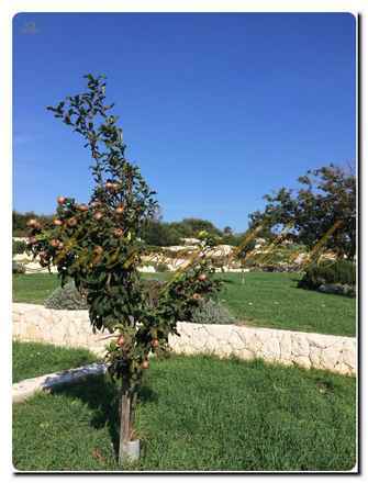 Luxuriöses Baugrundstück mit Meerblick und eigenem Brunnen