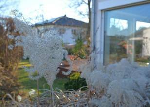 Thumbnail von Charmanter Bungalow - Ideal für Paare und Familien - Rödermark - Waldacker