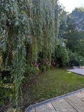 Thumbnail von Wunderschöne Villa mit Pool und weitläufigem Grundstück, Nähe Pressbaum