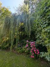 Thumbnail von Wunderschöne Villa mit Pool und weitläufigem Grundstück, Nähe Pressbaum