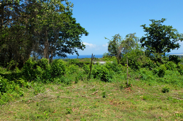 Dominikanische Republik pur schönste Lage an der Nordküste
