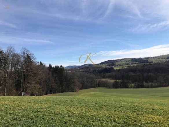 安全な投資。シュッター土地