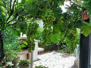 Thumbnail von Haus in Orebic mit Meerblick