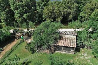 Thumbnail von Bezugsfertiges Rustico vor den Toren von Siena