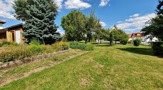 Großes, langgestrecktes Baugrundstück mit Baumbestand. 2 Vollgeschosse möglich!