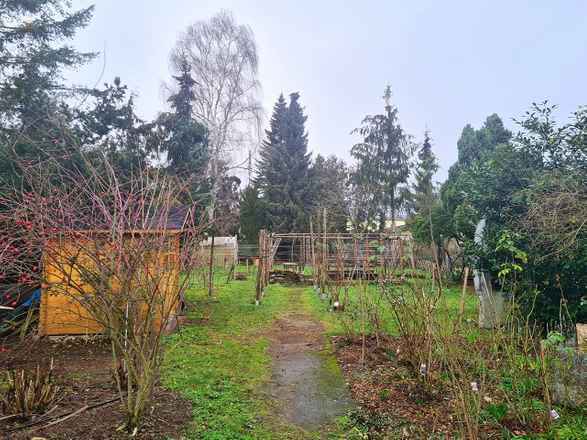 Baugrund für EFH in gewachsener Schmöckwitzer Wohnlage