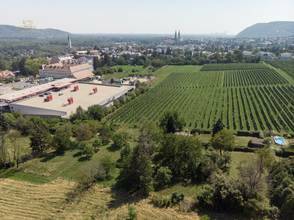 Thumbnail von Großartiges Grundstück mit Baubewilligung in Ruhelage, Nähe Ölberg
