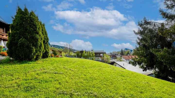 日当たりの良い静かな場所にある未開発の土地