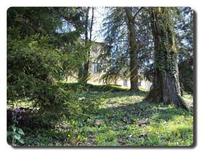 Thumbnail von Immogold, herrschaftliches Anwesen im Süd-Piemont