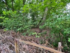 Thumbnail von Baugrundstück für EFH fußläufig dem Lehnitzsee