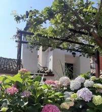 Thumbnail von Schickes Dachgeschoss-Appartement mit Meerblick in Pula