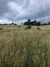 Thumbnail von Traumhaftes Grundstück nahe Neulengbach/Altlengbach