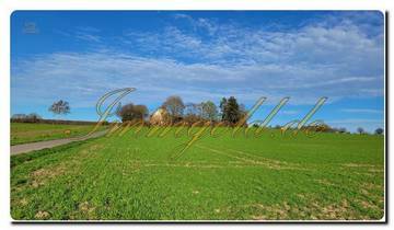 Thumbnail von Immogold Multifunktionsgebäude riesiges Grundstück ca. 400 m² Wohnraum mit Ausbaupotential