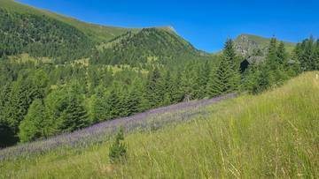 Thumbnail von ALM-CHALET 8 - Freizeitwohnsitz in Toplage