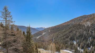 Thumbnail von ALM-CHALET 1 - Freizeitwohnsitz in Toplage