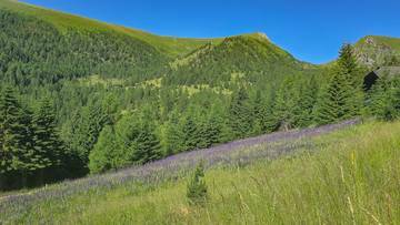 Thumbnail von ALM-CHALET 7 - Freizeitwohnsitz in Toplage