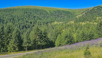 Thumbnail von ALM-CHALET 7 - Freizeitwohnsitz in Toplage