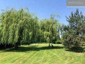 Thumbnail von NEUER PREIS! Ungarischer Landsitz nahe der österreichischen Grenze