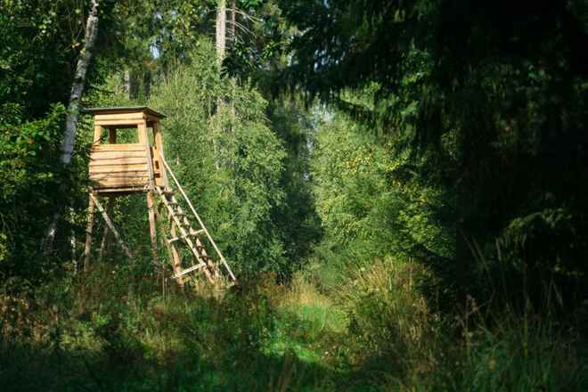 Exklusives Waldgrundstück in Döbling, Nähe Krapfenwaldbad