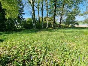 Thumbnail von Traumhaftes Badegrundstück am Ostufer des Obertrumer Sees mit Steg!