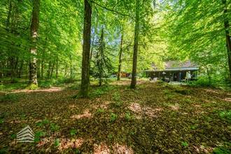 Thumbnail von Exklusives Badeparadies am Wörthersee: Ihr privates Refugium mit Seezugang und Waldidylle