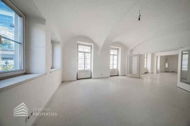 Große Geschäftsfläche, Nähe Mariahilfer Straße