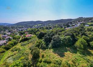 Thumbnail von Voor de poorten van Wenen – weiland met classificatie als bouwland