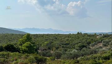 Thumbnail von Mediterrane Villa in ruhiger Lage mit Meerblick, Region Sukosan