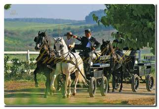 Thumbnail von Immogold Spanien Andalusien über das Luxuriöse hinaus ein außergewöhnlicher Landsitz