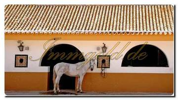 Thumbnail von Immogold Spanien Andalusien über das Luxuriöse hinaus ein außergewöhnlicher Landsitz