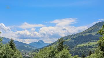 Thumbnail von Weinberg Residenz - Top 4 (Baustart 2026 KW 15)