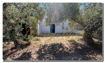 Thumbnail von Immogold Sizilien SGS 25123 Tolles Areal inklusive eines Olivenhains und Rustuico