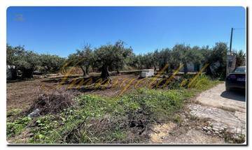 Thumbnail von Immogold Sizilien SGS 25123 Tolles Areal inklusive eines Olivenhains und Rustuico