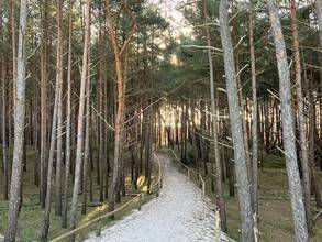 Thumbnail von Top Investment am feinen Sandstrand  - 2,5h Stunden von Berlin