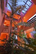 Thumbnail von ***3-Bett Apartment in gepflegter Anlage Strandnähe - NEW GOLDEN MILE - COSTA DEL SOL***