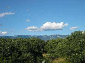 Thumbnail von Haus mit wunderschönem Meerblick in einem kleinen Ort auf Pag