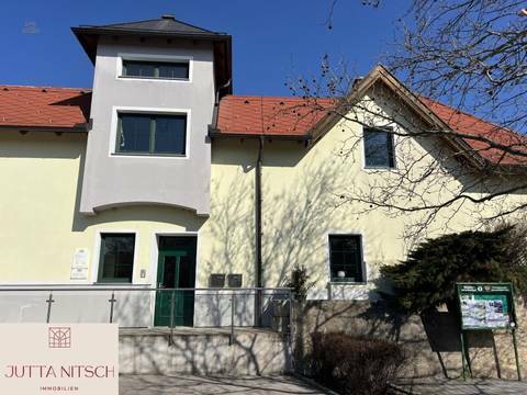 Schönes Büro/Praxis - Gemeinschaftsbüro/Praxis möglich - Gumpoldskirchen neben Parkplatz